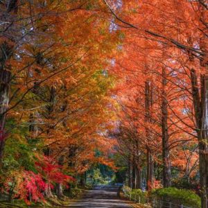 دانلود آهنگ مرا ببر به خانه ای که خانه توست